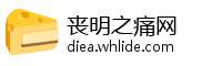 丧明之痛网